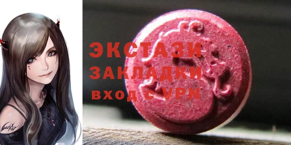 индика Приозерск